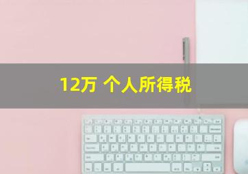 12万 个人所得税